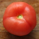 Peeled tomato square